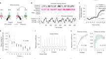 what does research tell us about the use of multitasking