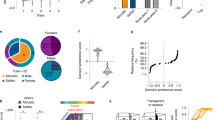 research helping behaviour