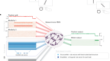 journal article translation