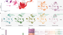 hypothesis based models