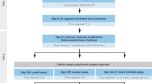 type of research analysis