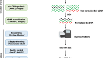 analysis and synthesis of drought