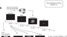 essay on brain training