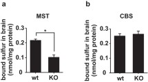 Effect of Taurine and Guanidinoethane Sulfonate on Glutathione Metabolism  in the Rat | Springer Nature Link