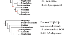 research articles on birds