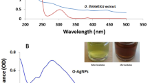 synthesis of nanoparticles thesis