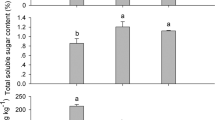 research papers on tomato plants