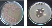 urine sample research paper