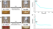 green synthesis of copper nanoparticles thesis green synthesis of copper nanoparticles thesis