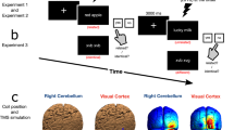 psychology research paper on stroop effect