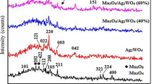 green synthesis of zno nanoparticles thesis green synthesis of zno nanoparticles thesis