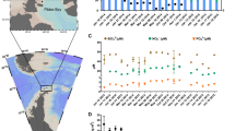 thesis phytoplankton ecology