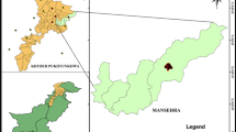 literature review of green synthesis of silver nanoparticles