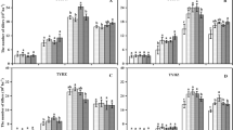 research article about nitrogen research article about nitrogen
