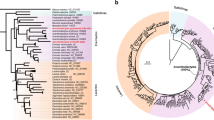 research paper on origin of species