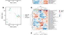 case study about lung cancer