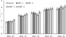 research on onion