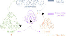 ABSTRACT INJECTION of susceptible mice with a marine leukaemia virus markedly affects the immune response. A number of recent studies have demonstrated that mice infected with either Friend or Rauscher leukaemia disease viruses have a marked immunological deficiency, as demonstrated by challenge immunization with a variety of antigens1–16. Many of these studies have been concerned with individual antibody-forming cells and have shown that the number of haemolysin-producing cells in spleens of infected mice is markedly reduced6–14. Similarly, the number of antibody-forming cells to _Escherichia coli_ is also suppressed in spleens of infected mice15,16. A direct relationship exists between the time of infection and the degree of such immuno-depression. Access through your institution Buy or subscribe This is a preview of subscription content, access via your institution ACCESS OPTIONS Access through your institution Subscribe to this journal Receive 51 print issues and online access $199.00 per year only $3.90 per issue Learn more Buy this article * Purchase on SpringerLink * Instant access to full article PDF Buy now Prices may be subject to local taxes which are calculated during checkout ADDITIONAL ACCESS OPTIONS: * Log in * Learn about institutional subscriptions * Read our FAQs * Contact customer support SIMILAR CONTENT BEING VIEWED BY OTHERS DYNAMIC CAUSAL MODELLING OF IMMUNE HETEROGENEITY Article Open access 31 May 2021 PRECLINICAL SAFETY AND IMMUNOGENICITY OF _STREPTOCOCCUS PYOGENES_ (STREP A) PEPTIDE VACCINES Article Open access 08 January 2021 MODELING HUMAN ADAPTIVE IMMUNE RESPONSES WITH TONSIL ORGANOIDS Article 11 January 2021 REFERENCES * Dent, P. B., Peterson, R. D. A., and Good, R. A., _Proc. Soc. Exp. Biol. and Med._, 119, 869 (1965). Article  CAS  Google Scholar  * Cremer, N. E., Taylor, D. O., and Hagens, S. J., _J. Immunol._, 96, 495 (1966). CAS  PubMed  Google Scholar  * Klein, G., _Ann. Rev. Microbiol._, 20, 223 (1966). Article  CAS  Google Scholar  * Siegel, B. V., and Morton, J. I., _Proc. Soc. Exp. Biol. and Med._, 123, 467 (1966). Article  CAS  Google Scholar  * Siegel, B. V., and Morton, J. I., _Immunology_, 10, 559 (1966). CAS  PubMed  PubMed Central  Google Scholar  * Odaka, T., Ishii, H., Yamaura, K., and Yamamoto, T., _Jap. J. Exp. Med._, 36, 277 (1966). CAS  PubMed  Google Scholar  * Salaman, M. H., and Wedderburn, N., _Immunology_, 10, 445 (1966). PubMed Central  Google Scholar  * Ceglowski, W. S., and Friedman, H., _Proc. Soc. Exp. Biol. and Med._, 126, 662 (1967). Article  Google Scholar  * Ceglowski, W. S., and Friedman, H., _J. Nat. Canc. Inst._, 40, 983 (1968). CAS  Google Scholar  * Ceglowski, W. S., and Friedman, H., _J. Immnnol._, 101, 594 (1968). CAS  Google Scholar  * Bendinelli, M., _Immunology_, 14, 837 (1968). CAS  PubMed  PubMed Central  Google Scholar  * Wedderburn, N., and Salaman, M. A., _Immunology_, 15, 439 (1968). CAS  PubMed  PubMed Central  Google Scholar  * Friedman, H., and Ceglowski, W., _Nature_, 218, 1232 (1968). Article  ADS  CAS  PubMed  Google Scholar  * Ceglowski, W. S., and Friedman, H., _J. Immunol._, 102, 338 (1969). CAS  PubMed  Google Scholar  * Hirano, S., Ceglowski, W. S., Allen, J. A., and Friedman, H., _Bact. Proc._, 78 (1969). * Hirano, S., Ceglowski, W. S., and Friedman, H., _J. Nat. Canc. Inst._ (in the press). * Cheng, J., and Trentin, J. J., _Proc. Soc. Exp. Biol. and Med._, 126, 467 (1967). Article  CAS  Google Scholar  * Schwartz, S. A., and Braun, W., _Science_, 149, 20 (1965). Google Scholar  * Allen, J. A., Young, I., and Friedman, H., _Proc. Soc. Exp. Biol. and Med._, 130, 615 (1969). Article  CAS  Google Scholar  * Braun, W., and Cohen, E. P., in _Regulation of the Antibody Response_ (edit. by Cinader, B.) (C. Thomas, Springfield, Illinois, 1967). Google Scholar  Download references AUTHOR INFORMATION AUTHORS AND AFFILIATIONS * Departments of Microbiology, Albert Einstein Medical Center and Temple University School of Medicine, Philadelphia, Pennsylvania, 19140 SHINJI HIRANO & HERMAN FRIEDMAN Authors * SHINJI HIRANO View author publications You can also search for this author inPubMed Google Scholar * HERMAN FRIEDMAN View author publications You can also search for this author inPubMed Google Scholar RIGHTS AND PERMISSIONS Reprints and permissions ABOUT THIS ARTICLE CITE THIS ARTICLE HIRANO, S., FRIEDMAN, H. Effect of a Murine Leukaemia Virus on “Background” Antibody Plaque-forming Cells to Sheep Erythrocytes and _E. coli_ Antigen. _Nature_ 224, 1316–1318 (1969). https://doi.org/10.1038/2241316a0 Download citation * Received: 31 March 1969 * Revised: 19 August 1969 * Issue Date: 27 December 1969 * DOI: https://doi.org/10.1038/2241316a0 SHARE THIS ARTICLE Anyone you share the following link with will be able to read this content: Get shareable link Sorry, a shareable link is not currently available for this article. Copy to clipboard Provided by the Springer Nature SharedIt content-sharing initiative