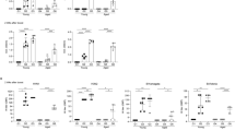 research paper on vaccination research paper on vaccination