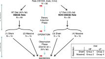 ABSTRACT Previous studies have shown that dietary long chain triglycerides stimulate mucosal hyperplasia following massive small bowel resection. In these studies, however, mucosal hyperplasia in “control” animals may have actually been inhibited by short term EFA deficiency. To evaluate this possibility 24 Sprague-Dawley rats were subjected to 60% proximal jejunoileal resection and subsequently pair-fed isocaloric diets containing either linoleic (control) or palmitic (EFA deficient) acid (5% fat by weight). Two weeks postoperatively, mucosal protein (mg/cm bowel + SEM) was determined in the remaining bowel:: Mucosal protein levels were decreased in EFA deficient resected animals in all segments in remaining bowel (p<.05). Mucosal DNA levels paralleled these changes. A subsequent study demonstrated rapid reversal of impairment of mucosal hyperplasia following reinstitution of EFA containing diets. Hepatic triene:tetraene ratios confirmed EFA deficiency in the palmitic acid group. EFA deficiency impaired mucosal adaptation following resection. This effect was reversible, and may explain stimulatory effects of long chain triglycerides on mucosal hyperplasia. SIMILAR CONTENT BEING VIEWED BY OTHERS THE EFFECT OF PRE-RESECTION OBESITY ON POST-RESECTION BODY COMPOSITION AFTER 75% SMALL BOWEL RESECTION IN RATS Article Open access 21 June 2021 COMPARISON OF THREE DIFFERENT ANASTOMOTIC METHODS OF SLEEVE GASTRECTOMY WITH TRANSIT BIPARTITION USING AN OBESE RODENT MODEL Article Open access 01 December 2023 LIPID ABSORPTION AND OVERALL INTESTINAL LYMPHATIC TRANSPORT ARE IMPAIRED FOLLOWING PARTIAL SMALL BOWEL RESECTION IN MICE Article Open access 07 July 2022 ARTICLE PDF AUTHOR INFORMATION AUTHORS AND AFFILIATIONS * University of Nebraska Medical Center and Swanson Center for Nutrition, Inc., Omaha, Nebraska, USA J A Vanderhoof & M H Hart Authors * J A Vanderhoof View author publications You can also search for this author inPubMed Google Scholar * M H Hart View author publications You can also search for this author inPubMed Google Scholar RIGHTS AND PERMISSIONS Reprints and permissions ABOUT THIS ARTICLE CITE THIS ARTICLE Vanderhoof, J., Hart, M. IMPAIRMENT OF MUCOSAL HYPERPLASIA FOLLOWING MASSIVE SMALL BOWEL RESECTION BY ESSENTIAL FATTY ACID (EFA) DEFICIENCY. _Pediatr Res_ 20, 690 (1986). https://doi.org/10.1203/00006450-198607000-00028 Download citation * Issue Date: 01 July 1986 * DOI: https://doi.org/10.1203/00006450-198607000-00028 SHARE THIS ARTICLE Anyone you share the following link with will be able to read this content: Get shareable link Sorry, a shareable link is not currently available for this article. Copy to clipboard Provided by the Springer Nature SharedIt content-sharing initiative