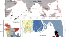 research paper on fish disease