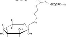 ABSTRACT THE treatment of collagen with hydroxylamine, which splits ester-like bonds, produces subunits carrying newly formed aspartic acid hydroxamates1,2. Their alcohol counterparts are not yet fully identified. A series of investigations on the immunogenicity and specificity of collagen3,4 showed that collagen treated with hydroxylamine (HC) is an antigen which induces the formation of two types of immune sera: type 1 containing only antibodies against the area of hydroxylamine treatment (HC-antibodies); type 2 containing additionally antibodies against the general collagen structure. HC therefore acts when used for immunization like a conjugated protein. Investigation of haemagglutination inhibition showed that early sera were predominantly of type 2. Hyperimmune sera, however, were mostly of type 1. Inhibition experiments proved that sera with only HC-antibodies (type 1 immune sera) can be inhibited by HC, but are not inhibited by collagen preparations such as parent gelatine. Antisera which possess both antibodies (type 2 immune sera) are inhibited extensively by HC and to a lesser degree by parent gelatine. Additionally, inhibition experiments were carried out with peptides obtained from HC, acid-soluble collagen and insoluble collagen by treatment with trypsin or colla-genase5. Only peptides obtained from HC inhibited HC-antibodies and these peptides when used in sufficient amounts caused a complete inhibition of potent antisera. Access through your institution Buy or subscribe This is a preview of subscription content, access via your institution ACCESS OPTIONS Access through your institution Subscribe to this journal Receive 51 print issues and online access $199.00 per year only $3.90 per issue Learn more Buy this article * Purchase on SpringerLink * Instant access to full article PDF Buy now Prices may be subject to local taxes which are calculated during checkout ADDITIONAL ACCESS OPTIONS: * Log in * Learn about institutional subscriptions * Read our FAQs * Contact customer support SIMILAR CONTENT BEING VIEWED BY OTHERS A FRUCTOSYLATED PEPTIDE DERIVED FROM A COLLAGEN II T CELL EPITOPE FOR LONG-TERM TREATMENT OF ARTHRITIS (FIA-CIA) IN MICE Article Open access 30 August 2021 SERUM COMPONENTS INFLUENCE ANTIBODY REACTIVITY TO GLYCAN AND DNA ANTIGENS Article Open access 22 August 2023 REGULATORY PROPERTIES OF VITRONECTIN AND ITS GLYCOSYLATION IN COLLAGEN FIBRIL FORMATION AND COLLAGEN-DEGRADING ENZYME CATHEPSIN K ACTIVITY Article Open access 08 June 2021 REFERENCES * Gallop, P. M., Seifter, S., and Meilman, E., _Nature_, 183, 1659 (1959). Article  ADS  CAS  Google Scholar  * Blumenfeld, O. O., and Gallop, P. M., _Biochemistry_, 1, 947 (1962). Article  CAS  Google Scholar  * Steffen, C., Timpl, R., and Wolff, I., _Z. Immunitätsforsch._, 124, 476 (1962). Google Scholar  * Steffen, C., Timpl, R., and Wolff, I., _J. Immunol._, 93, 656 (1964). CAS  PubMed  Google Scholar  * Steffen, C., and Timpl, R., _Z. Immunitätsforsch._, 130, 3 (1966). CAS  Google Scholar  * Springer, G. F., and Williamson, P., _Biochem. J._, 85, 282 (1962). Article  CAS  Google Scholar  * Hörmann, H., _Leder_, 11, 173 (1960). Google Scholar  * Porter, R. R., and Press, E. M., _Ann. Rev. Biochem._, 31, 625 (1962). Article  CAS  Google Scholar  Download references AUTHOR INFORMATION AUTHORS AND AFFILIATIONS * Klinisches Laboratorium, Hanuschkrankenhaus, Vienna, Austria C. STEFFEN, R. TIMPL & I. WOLFF Authors * C. STEFFEN View author publications You can also search for this author inPubMed Google Scholar * R. TIMPL View author publications You can also search for this author inPubMed Google Scholar * I. WOLFF View author publications You can also search for this author inPubMed Google Scholar RIGHTS AND PERMISSIONS Reprints and permissions ABOUT THIS ARTICLE CITE THIS ARTICLE STEFFEN, C., TIMPL, R. & WOLFF, I. Identification of an Antigenic Determinant of Collagen treated with Hydroxylamine. _Nature_ 213, 497–498 (1967). https://doi.org/10.1038/213497a0 Download citation * Issue Date: 04 February 1967 * DOI: https://doi.org/10.1038/213497a0 SHARE THIS ARTICLE Anyone you share the following link with will be able to read this content: Get shareable link Sorry, a shareable link is not currently available for this article. Copy to clipboard Provided by the Springer Nature SharedIt content-sharing initiative