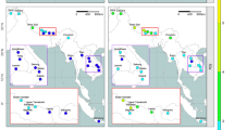 river case study geography