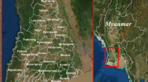 malaria case study in india