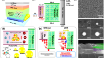 Plasmonic enhanced OLED efficiency upon silver-polyoxometalate core ...