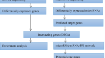 data analysis research slideshare