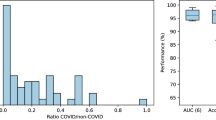 essay about covid 19 using modals