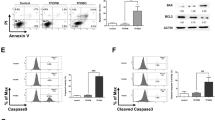 myeloid leukemia research paper