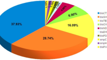 urine sample research paper