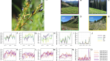 research paper on plant disease