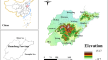 sustainable tourism ecosystem services