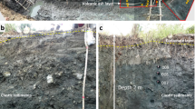 nuclear waste management thesis