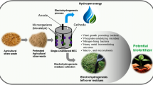 research articles on bioremediation of environmental pollution