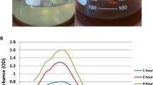 synthesis of nanoparticles thesis