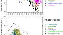 hypothesis of bacterial growth hypothesis of bacterial growth