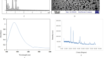 research paper nanoparticles