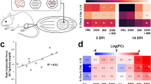 tissue nanotransfection research paper