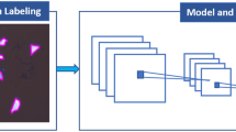 image processing research papers google scholar