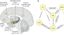 prenatal development research questions