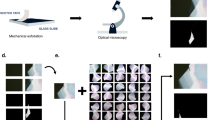 image processing research papers google scholar