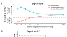 visual search literature review