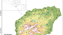 land pollution thesis paper