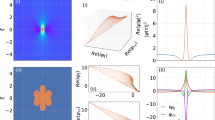 Quantitative analysis of the intensity distribution of optical rogue ...