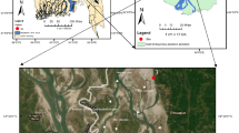 water quality parameters assignment pdf water quality parameters assignment pdf