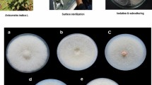 industrial microbiology research paper