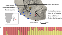 Tectonic collision and uplift of Wallacea triggered the global songbird  radiation